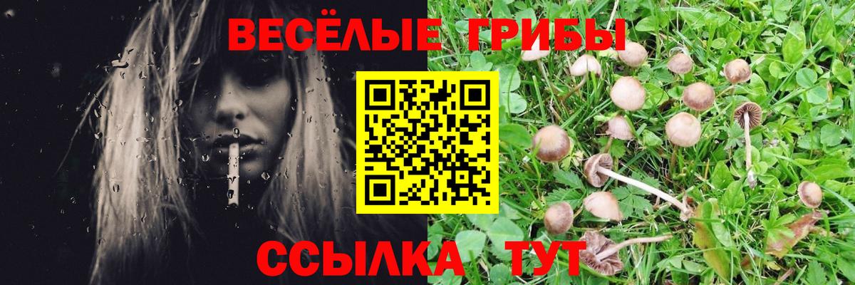 Псилоцибиновые грибы прущие грибы  Галлюциногенные грибы Magic Shrooms  Тулун  Вход с VPN 